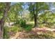 Scenic view of foliage, trees, and water in the background, symbolizing the creek access at 2021 Lakeshore Dr, Charleston, SC 29412