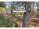 Beautiful nature scene with a tree, marsh grass, and water in the background, symbolizing creek access at 2021 Lakeshore Dr, Charleston, SC 29412
