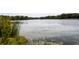 Scenic pond surrounded by lush trees, greenery and reflections on the water at 2722 Sunrose Ln, Johns Island, SC 29455