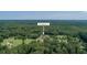 Stunning aerial view of a wooded lot with a unique round home on a large green lawn at 395 Summerset Ln, Summerville, SC 29483