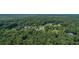 Expansive aerial view showcases a unique round home surrounded by lush greenery and mature trees at 395 Summerset Ln, Summerville, SC 29483