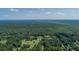 Aerial view capturing houses nestled amongst trees in a tranquil, green landscape at 395 Summerset Ln, Summerville, SC 29483