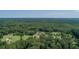 High aerial shot of a round house in the center of a dense forest and green fields at 395 Summerset Ln, Summerville, SC 29483