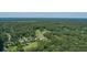 An aerial view displays the homes with verdant trees and beautiful views in this idyllic neighborhood at 395 Summerset Ln, Summerville, SC 29483