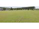 Expansive grassy area, perfect for community events and leisurely outdoor activities at 505 Spanish Wells Road Rd, Summerville, SC 29486