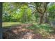 A shady, large backyard space featuring mature trees and greenery around the home at 670 Dupre Rd, McClellanville, SC 29458