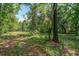 Lush wooded property with dappled sunlight, showcasing nature and tranquility at 670 Dupre Rd, McClellanville, SC 29458