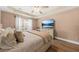 This bedroom features a ceiling fan, tray ceiling, and a large bed with a warm color palette at 9616 Pebble Creek Blvd, Summerville, SC 29485