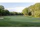 Scenic golf course view with green fairways, mature trees, and blue skies at 1067 Loyalist Ln, Mount Pleasant, SC 29464