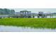 Scenic view of a dock extending into the water, surrounded by lush green marsh grasses at 1621 Folly Creek Way # D-8, Charleston, SC 29412