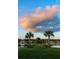 Picturesque lakeside park with palm trees and grass, offering a tranquil waterfront retreat at 1894 Brittlebush Ln, Johns Island, SC 29455