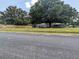 View of a cozy home with a large mature tree, a lawn, and a fence at 205 Indian Field Cir, Saint George, SC 29477