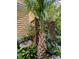 Lush outdoor area featuring a privacy screen, tropical plants, and artistic decor, creating a tranquil retreat at 2066 Wappoo Dr, Charleston, SC 29412