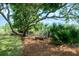 Backyard bench shaded by a large tree overlooking an open field at 31 Seagrass Ln, Isle of Palms, SC 29451
