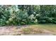 View of the large, private backyard with mature trees at 4969 Franconia Dr, Summerville, SC 29485