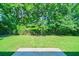 An expansive backyard with green grass and mature trees is viewed from the patio at 7 Plainfield Dr, Charleston, SC 29407