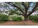 Mature oak tree shading a well-manicured front yard with a view of the home's facade at 1052 Avenue Of Oaks, Charleston, SC 29407
