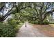 Serene walking path through a canopy of trees, leading to charming residences at 1052 Avenue Of Oaks, Charleston, SC 29407