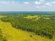 Scenic aerial view of lush greenery and fields under a blue sky with scattered clouds at 1133 Highway 311, Cross, SC 29436