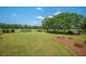 Expansive backyard with lush green grass and a classic black gated fence at 1133 Highway 311, Cross, SC 29436