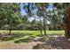 Expansive green backyard with majestic trees, perfect for outdoor enjoyment at 146 High Hammock Villas, Seabrook Island, SC 29455