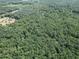 A wide aerial view shows a lush forest with trees, highlighting the natural surroundings of the property at 153 Willow Brook Way, Cordesville, SC 29434