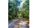 A long wooded gravel driveway at 153 Willow Brook Way, Cordesville, SC 29434