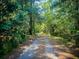 Scenic shot of the gravel driveway leading through a lush, green, wooded area at 153 Willow Brook Way, Cordesville, SC 29434