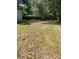 View of a spacious backyard with green grass and mature trees, surrounded by a wood fence at 1612 Evergreen St, Charleston, SC 29407