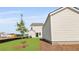Landscaped backyard featuring a lush green lawn, young tree, and home exterior at 212 Terrace View Dr, Summerville, SC 29486