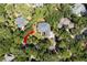 An aerial view of the property nestled among mature trees, offering privacy and a serene setting at 2340 Marsh Hen Dr, Seabrook Island, SC 29455