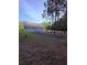 Scenic view of a one-story home with blue siding and a spacious front yard at 2460 Bama Rd, Cottageville, SC 29435
