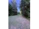 Lush forested lot with grass-covered driveway at 2460 Bama Rd, Cottageville, SC 29435