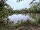 Secluded pond view surrounded by lush greenery and trees at 2460 Bama Rd, Cottageville, SC 29435