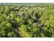 Stunning aerial view of a house surrounded by lush trees in a peaceful neighborhood at 24678 Augusta Hwy, Cottageville, SC 29435