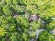 An aerial view showcases a beautiful home nestled within a dense canopy of trees at 24678 Augusta Hwy, Cottageville, SC 29435