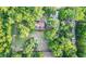 Aerial view of the house surrounded by lush, mature trees and a well-maintained lawn, creating a private oasis at 24678 Augusta Hwy, Cottageville, SC 29435