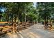 Gravel driveway lined with wooden fence and mature trees leads to property at 24678 Augusta Hwy, Cottageville, SC 29435