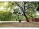 Spacious yard with mature trees and a fun tire swing at 24678 Augusta Hwy, Cottageville, SC 29435