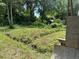 Image showing the backyard with overgrown vegetation and partial view of an unfinished structure at 305 E 1St N St, Summerville, SC 29483