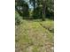 An overgrown and uneven yard space surrounded by dense trees and foliage at 305 E 1St N St, Summerville, SC 29483