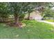 Spacious backyard showcasing mature trees and a well-maintained lawn at 339 Mount Royall Dr, Mount Pleasant, SC 29464