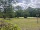 Expansive front yard featuring lush lawn and mature trees with a view of the road and vintage lamp post at 379 Chestnut Rd, Walterboro, SC 29488