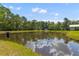 Picture of a pond with a yard and trees at 110 Huntington Ct, Walterboro, SC 29488