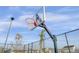 A well-maintained basketball hoop stands ready for a game, set against a backdrop of community homes at 110 True Blue Lp, Summerville, SC 29486