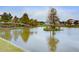 Picturesque pond surrounded by lush landscaping and homes in a tranquil community setting at 110 True Blue Lp, Summerville, SC 29486