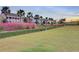 Beautiful street with manicured lawns and palm trees lining the street in a residential neighborhood at 110 True Blue Lp, Summerville, SC 29486
