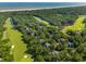Breathtaking aerial view showcasing a waterfront property surrounded by a golf course and lush trees at 132 Turnberry Dr, Johns Island, SC 29455