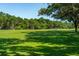 Scenic golf course view with lush green grass, mature trees, and golfers in the distance on a sunny day at 132 Turnberry Dr, Johns Island, SC 29455