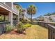 Landscaped backyard with black fencing, lush plants and palm trees on a sunny day at 1536 Keshi Pearl Dr, Mount Pleasant, SC 29466